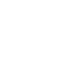 CureWP Preisliste